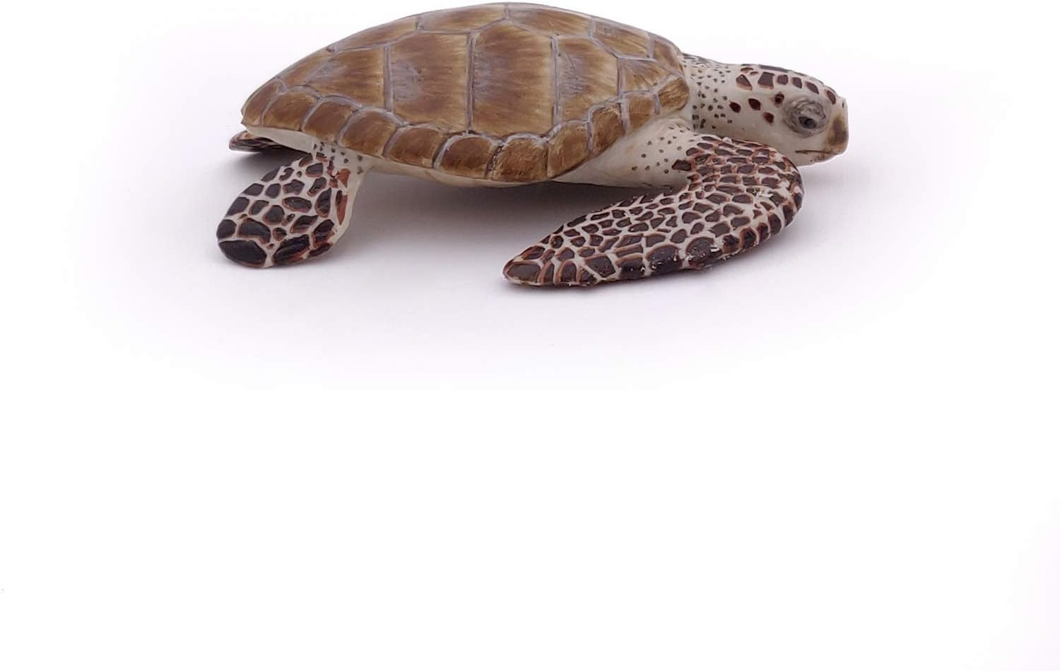 Papo 56005 Loggerhead Turtle Figure - Educational Marine Life Toy for Kids 3+ 3