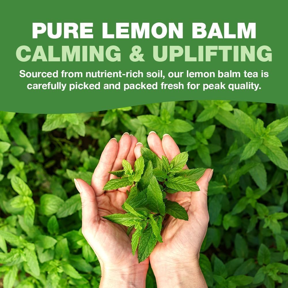 HANDPICK Lemon Balm Tea Bags – 100 Count | Caffeine-Free, Gluten-Free Herbal Tea from India 4