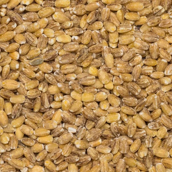 Wholefood Earth Pearl Barley 500g | GMO-Free | High Fibre | Vegan | Recyclable Packaging