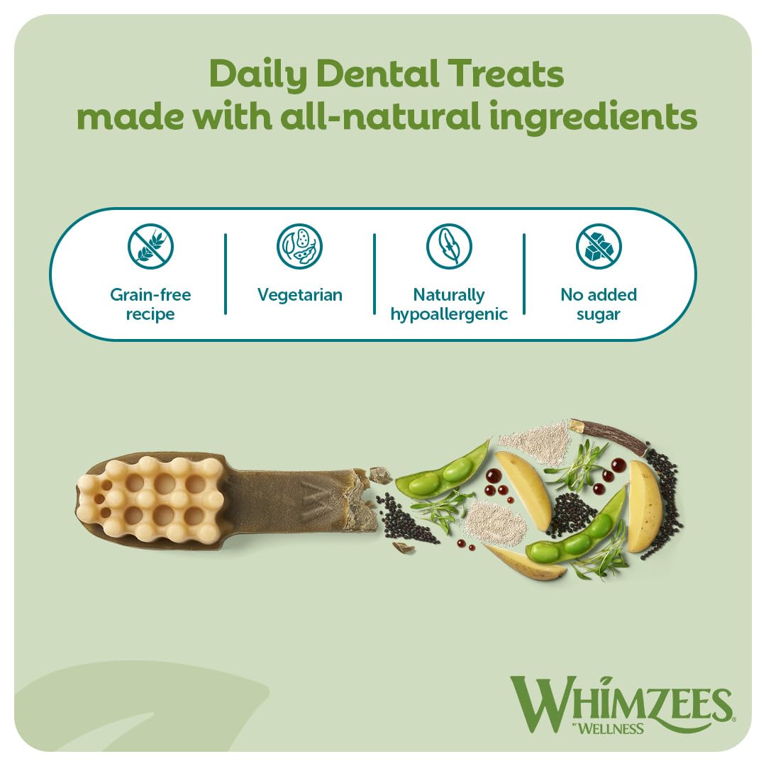 WHIMZEES Toothbrush XS Dog Dental Chews - 48 Pieces | Natural, Grain-Free, Vegetarian 3