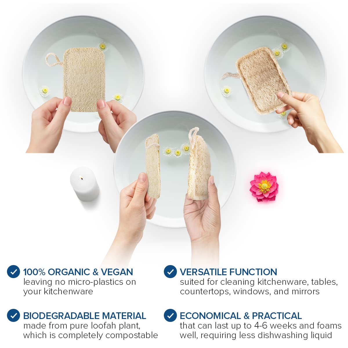 Joeji's Kitchen - Pack of 8 Natural Eco Dishwasher Sponges 15