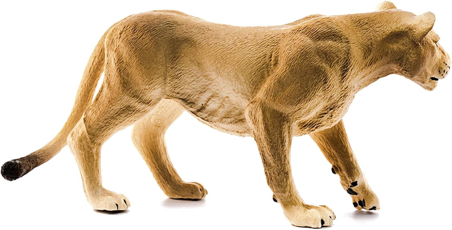 SCHLEICH Lioness Wildlife Figurine - Detailed Hand-Painted Animal Model for Kids 3-8 Years 12