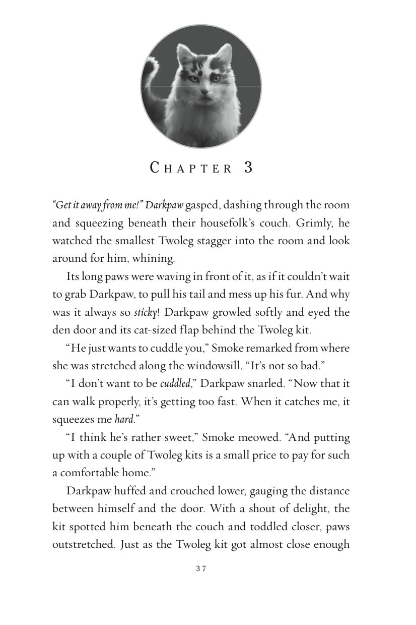 Warriors Super Edition: Darktail’s Judgment - Book 19 of 19 | Fantasy Adventure | Ages 8-12 | English 5