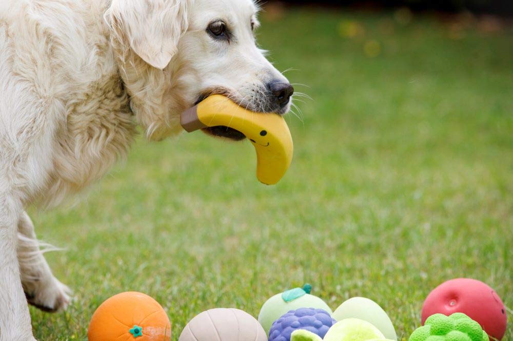 Petface Latex Apple Soft Chew Dog Toy - Large Size | Durable Natural Rubber 4