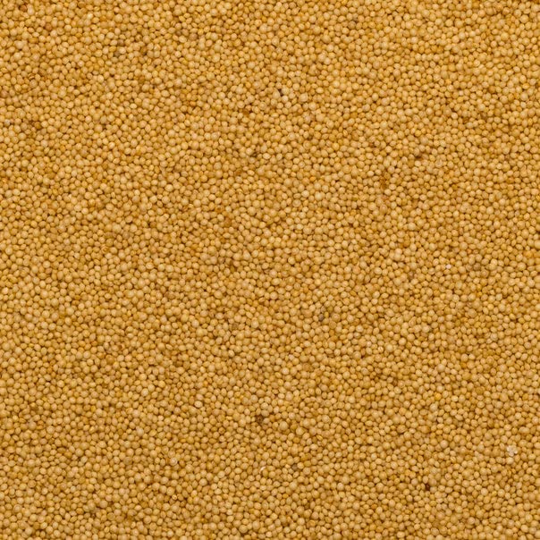 Wholefood Earth Organic Amaranth Seed - 500g | Raw | Vegan | GMO Free 4