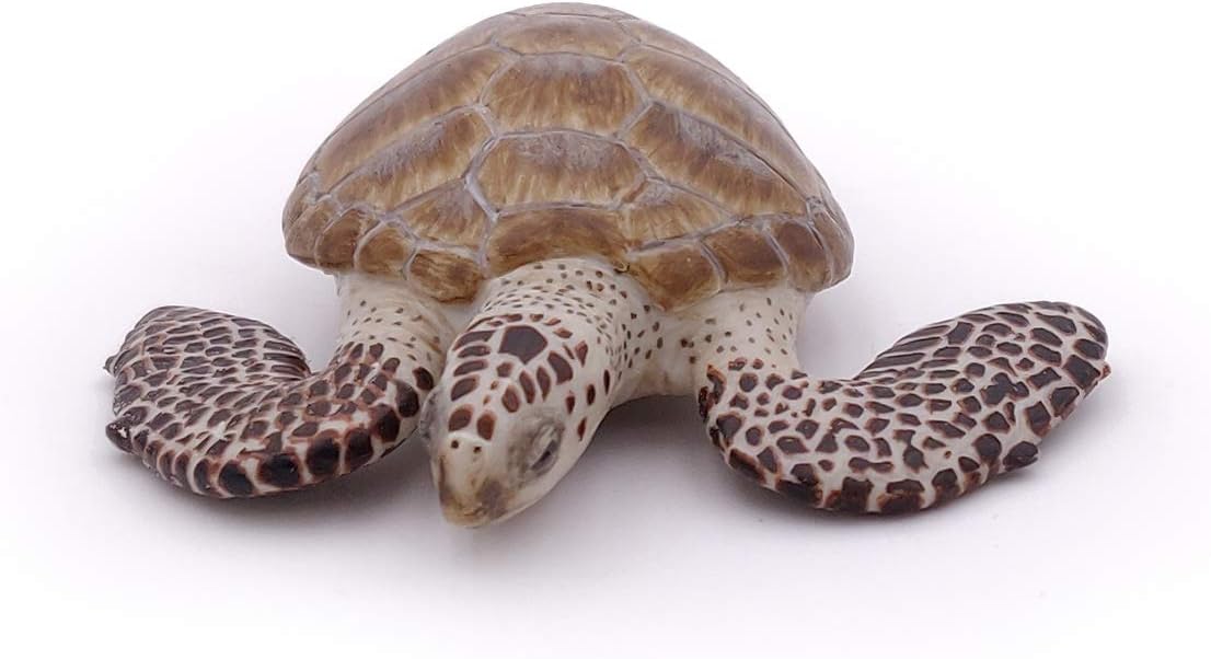 Papo 56005 Loggerhead Turtle Figure - Educational Marine Life Toy for Kids 3+ 5