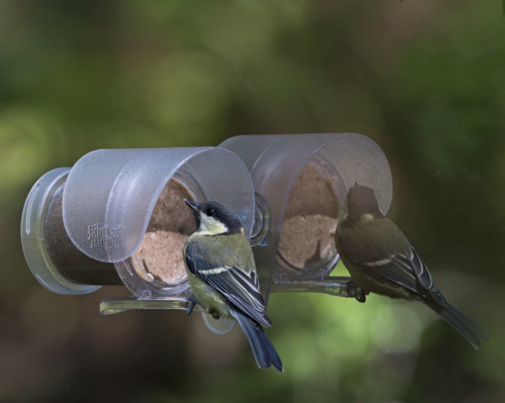 Jacobi Jayne FB-PB3 Flutter Butter Buggy Pods, Pack of 3 x 170g 8