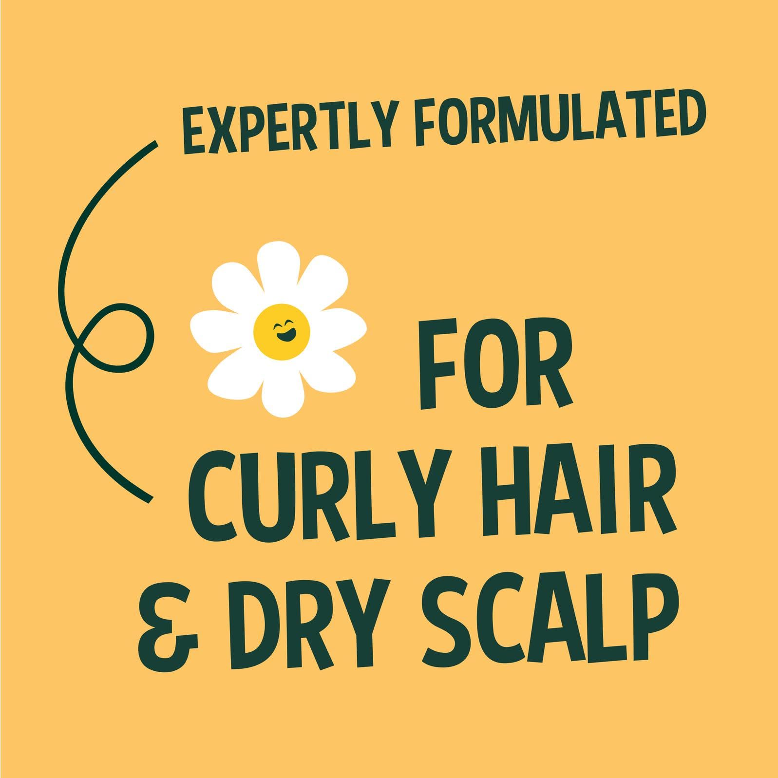 Faith In Nature Natural Shea & Argan Shampoo, Moisturising for Curly Hair & Dry Scalp, Vegan & Cruelty Free, No SLS, Silicones or Parabens, 400ml 8