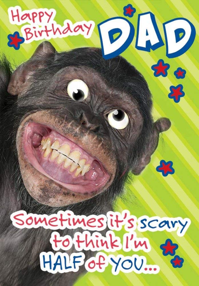 Piccadilly Greetings Humour Birthday Card for Dad | 9 x 6 Inches | Multicolor 1