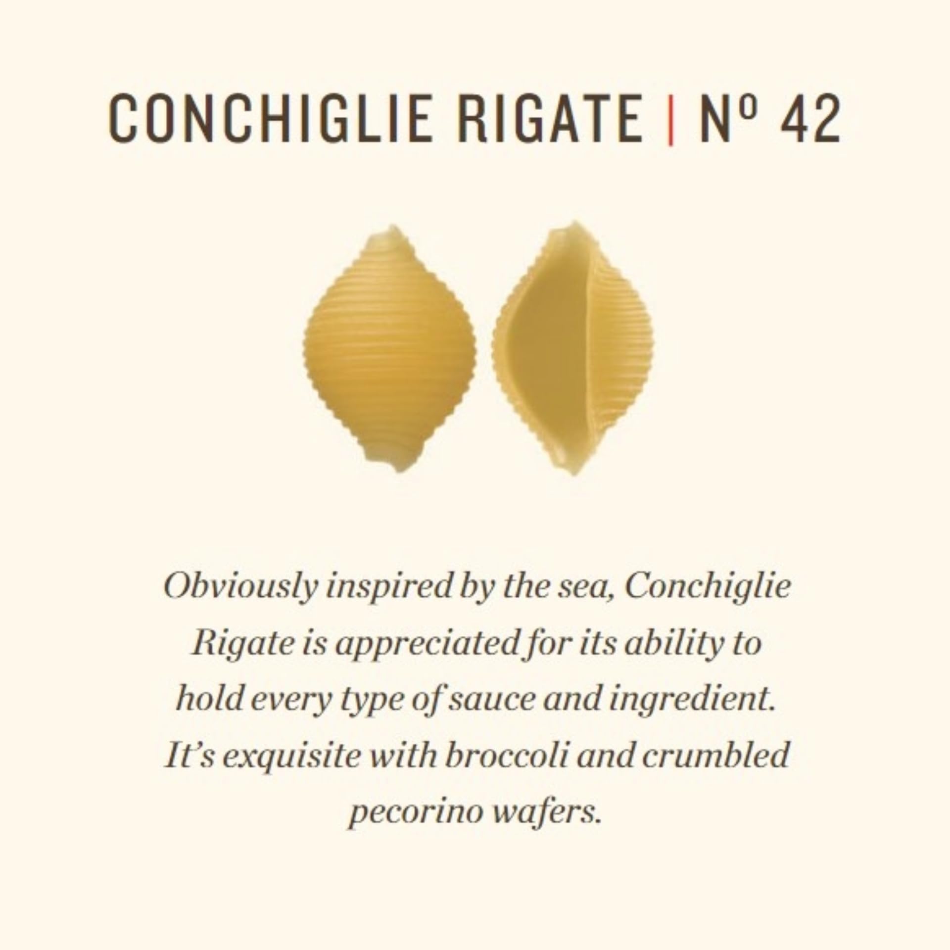 Rummo Conchiglie Rigate Pasta No.42 - Authentic Italian Shells | 500g 4
