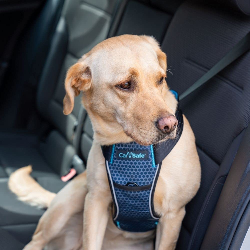 CarSafe Crash Tested Dog Harness - Large Blue | Certified up to 32Kg/70lbs | Dual Use 2