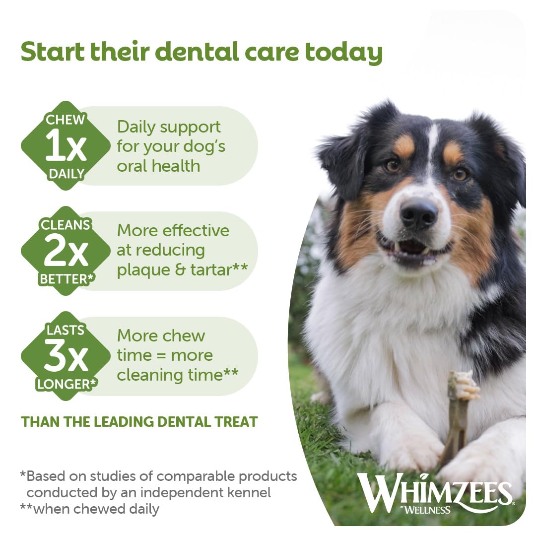 WHIMZEES Variety Box Dental L, 14 Pieces - Natural, Grain Free, Vegetarian Dog Chews for Large Breeds 6
