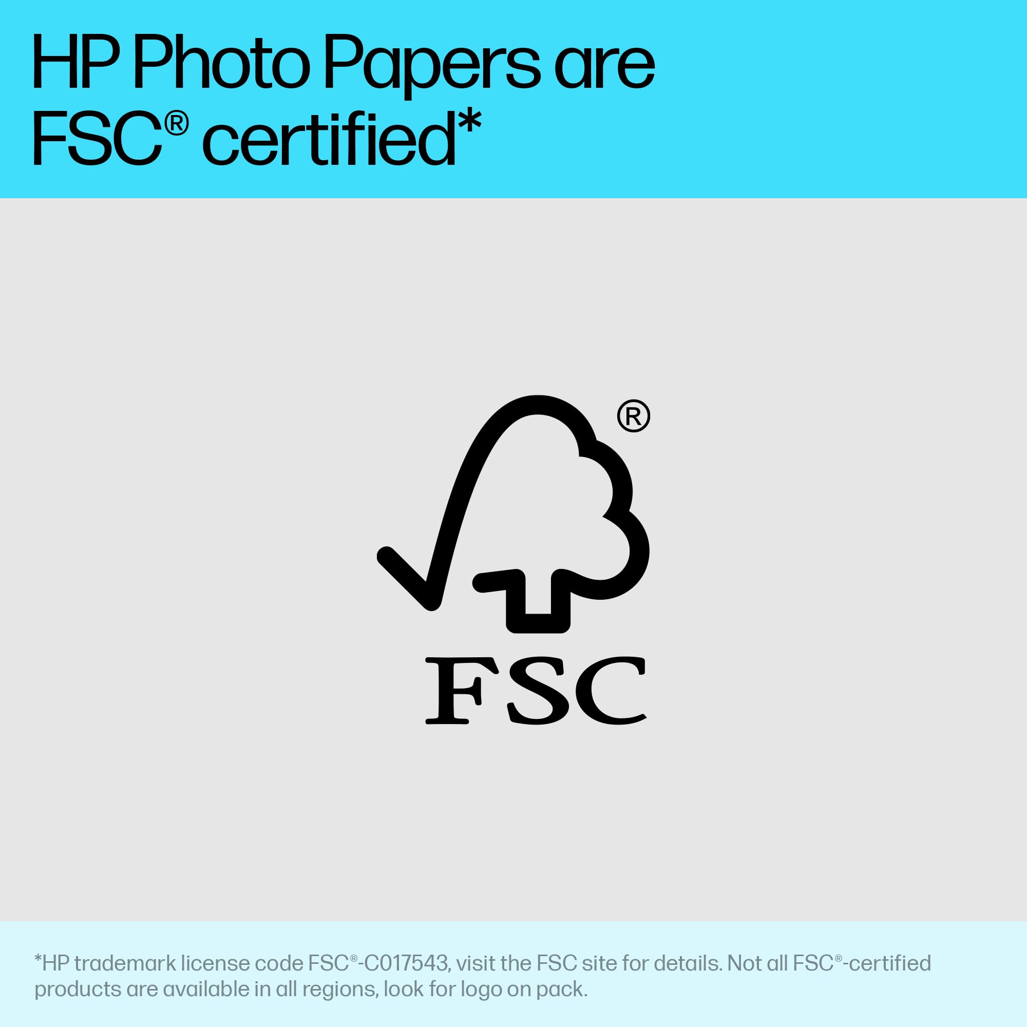 HP Everyday Glossy Photo Paper - 10 x 15 cm, 200 GSM, 100 Sheets | CR757A 7