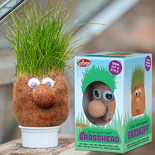 Tobar - Mr Grasshead Hair Grow Toy 4