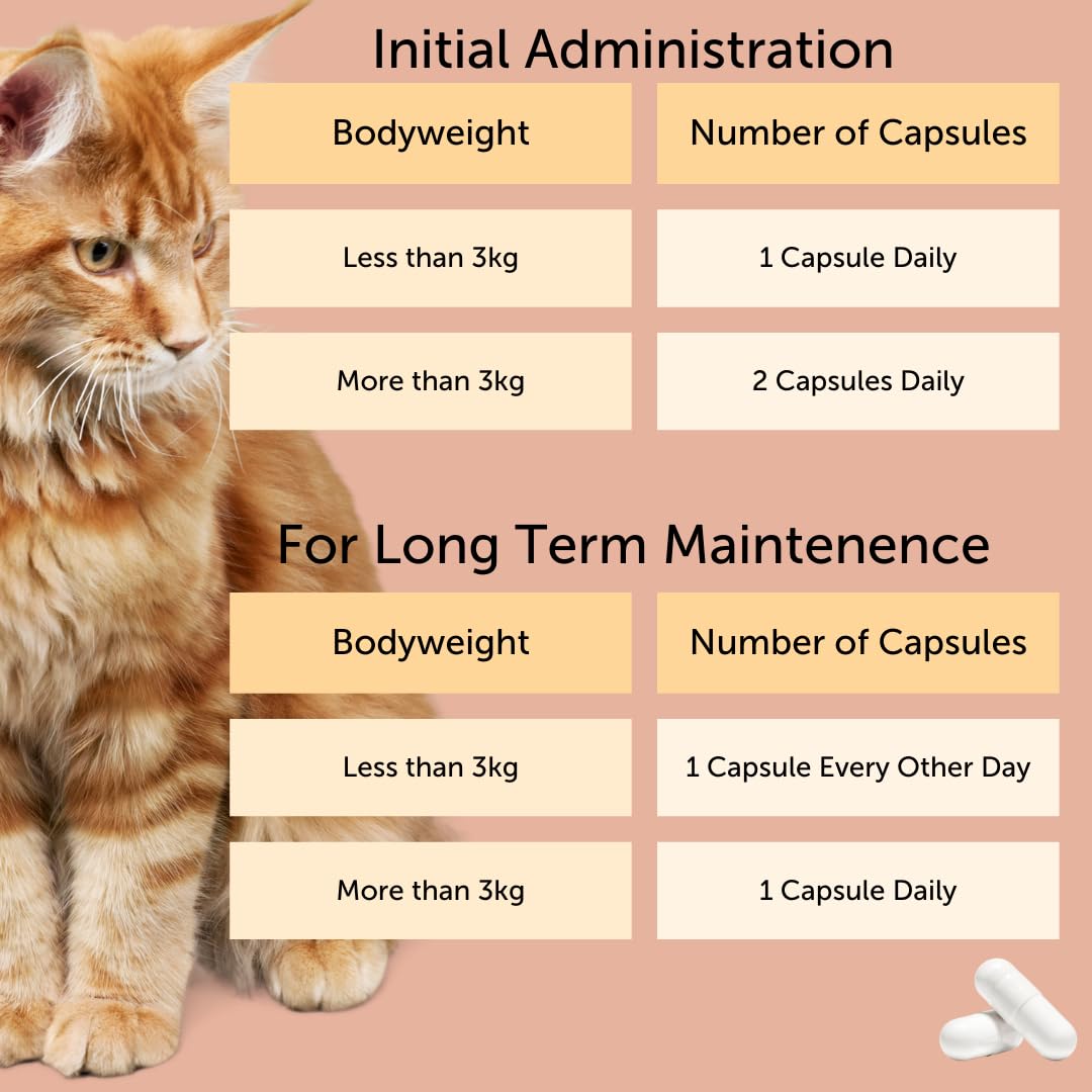 Feliway Cystease - For Stress-Related Bladder Problems in Cats | 300 Capsules 5
