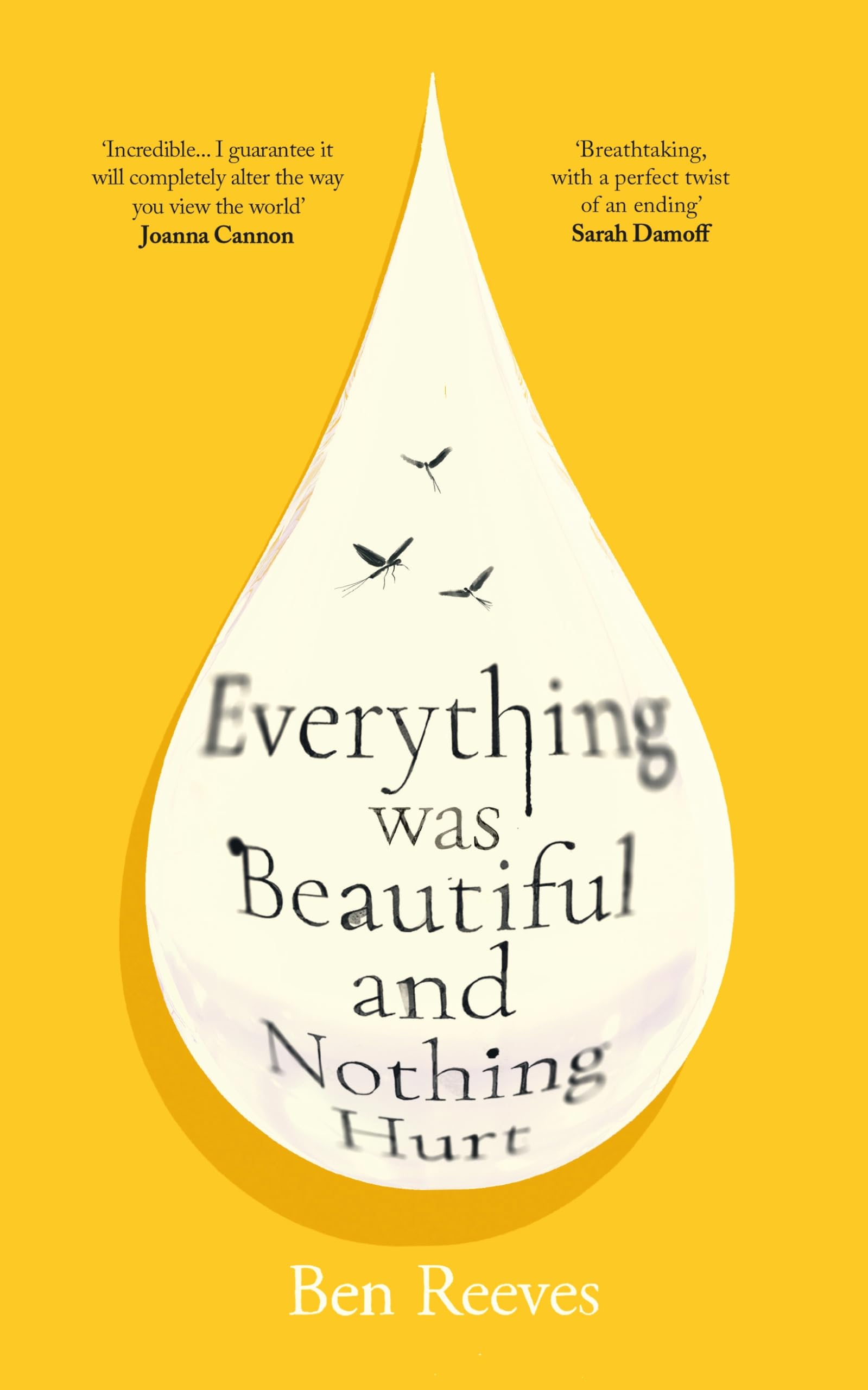 Everything Was Beautiful and Nothing Hurt: The gorgeous, uplifting top ten by Ben Reeves (Hardcover) 1