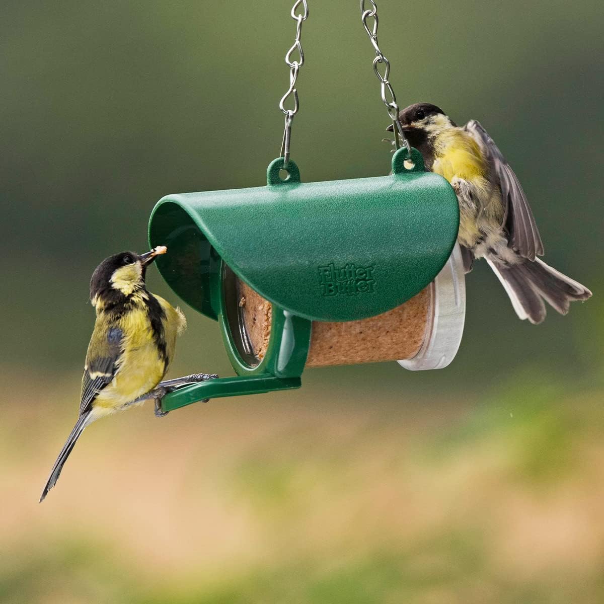 Flutter Butter Original Pods for Birds, Pack of 3 x 170g, Compatible with All Flutter Butter Feeders 6