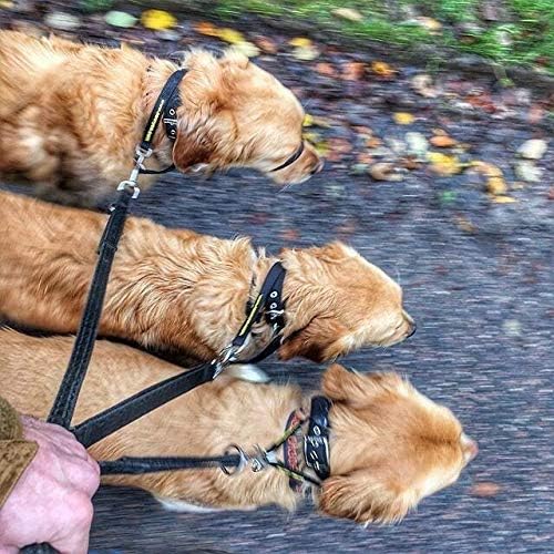 Canny - Canny Collar Head Collar for Dog Training and Walking - Black (Size 4, Model 02-1005) 14