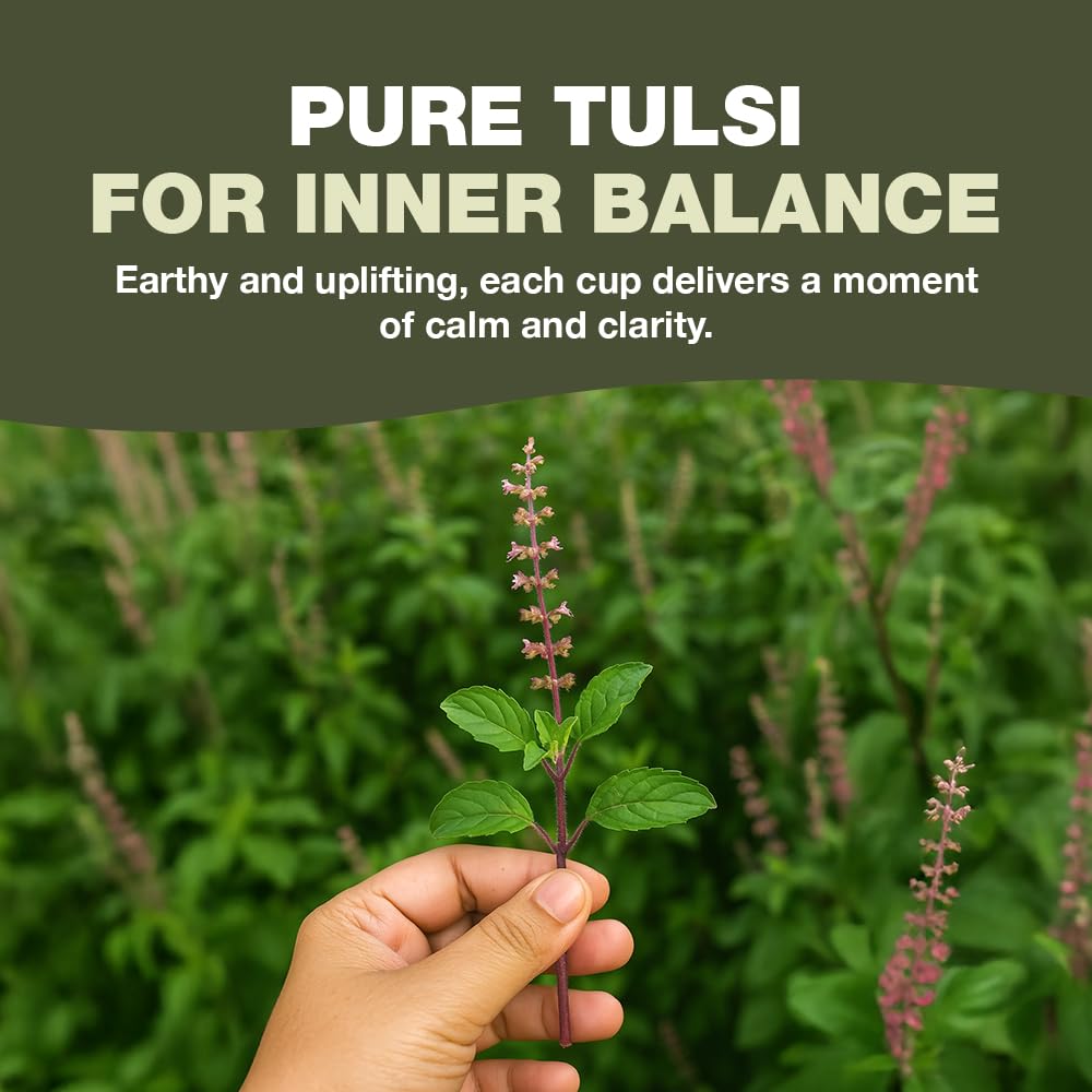 HANDPICK Holy Basil Tea Bags (100 Count) Caffeine-Free, Non-GMO Tulsi Leaves Herbal Tea