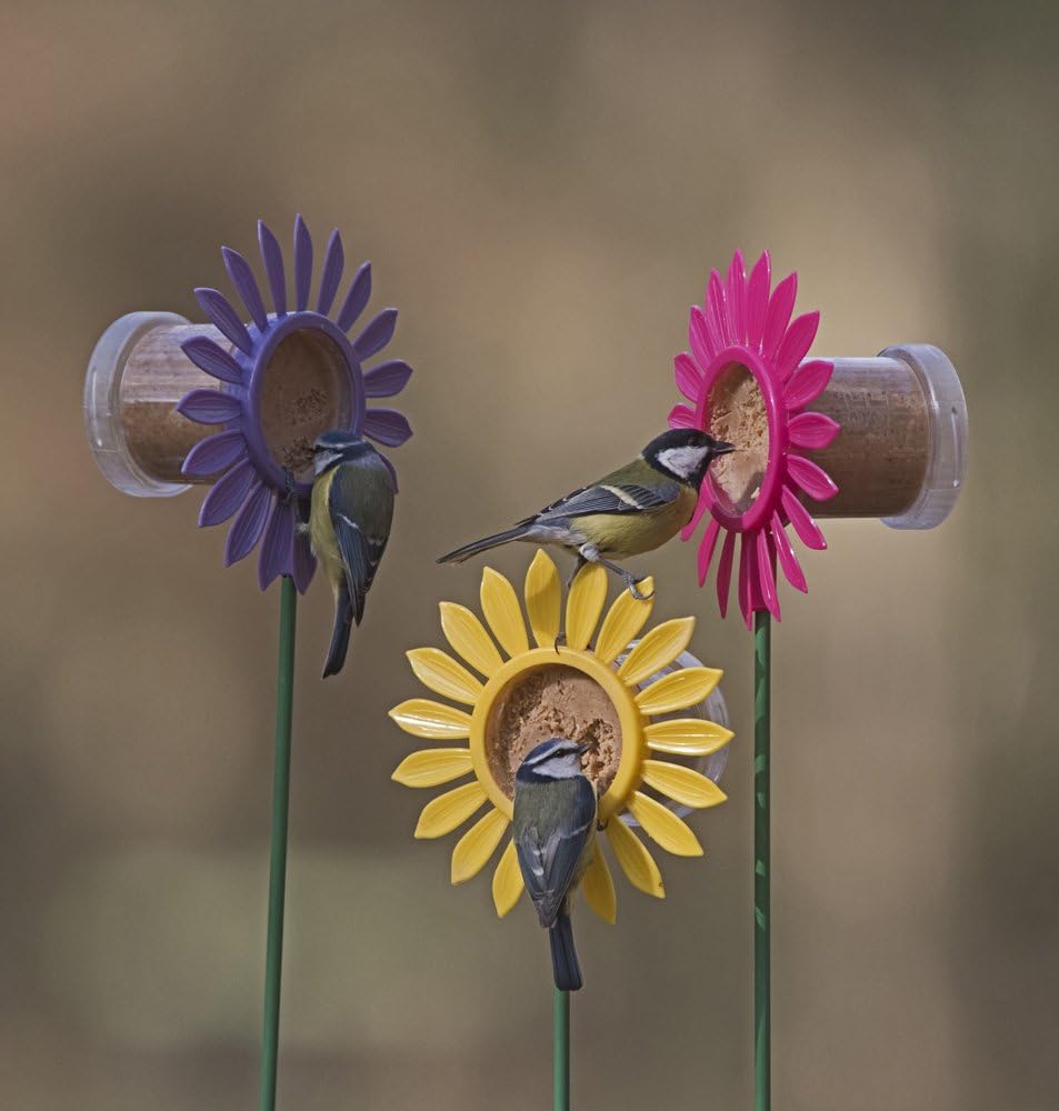 Jacobi Jayne FB-PB3 Flutter Butter Buggy Pods, Pack of 3 x 170g 7