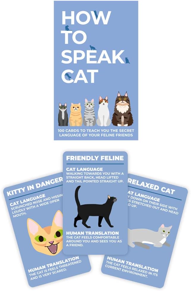 Gift Republic How to Speak Cat Trading Cards - GR490104 Card Deck