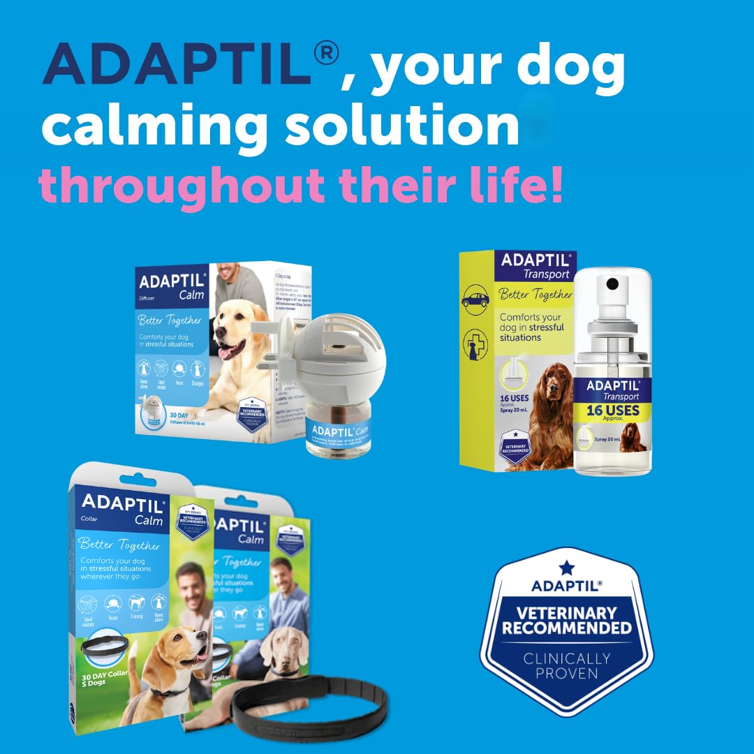 ADAPTIL Junior Adjustable Puppy Collar for Stress & Anxiety Relief | Baby Blue 5