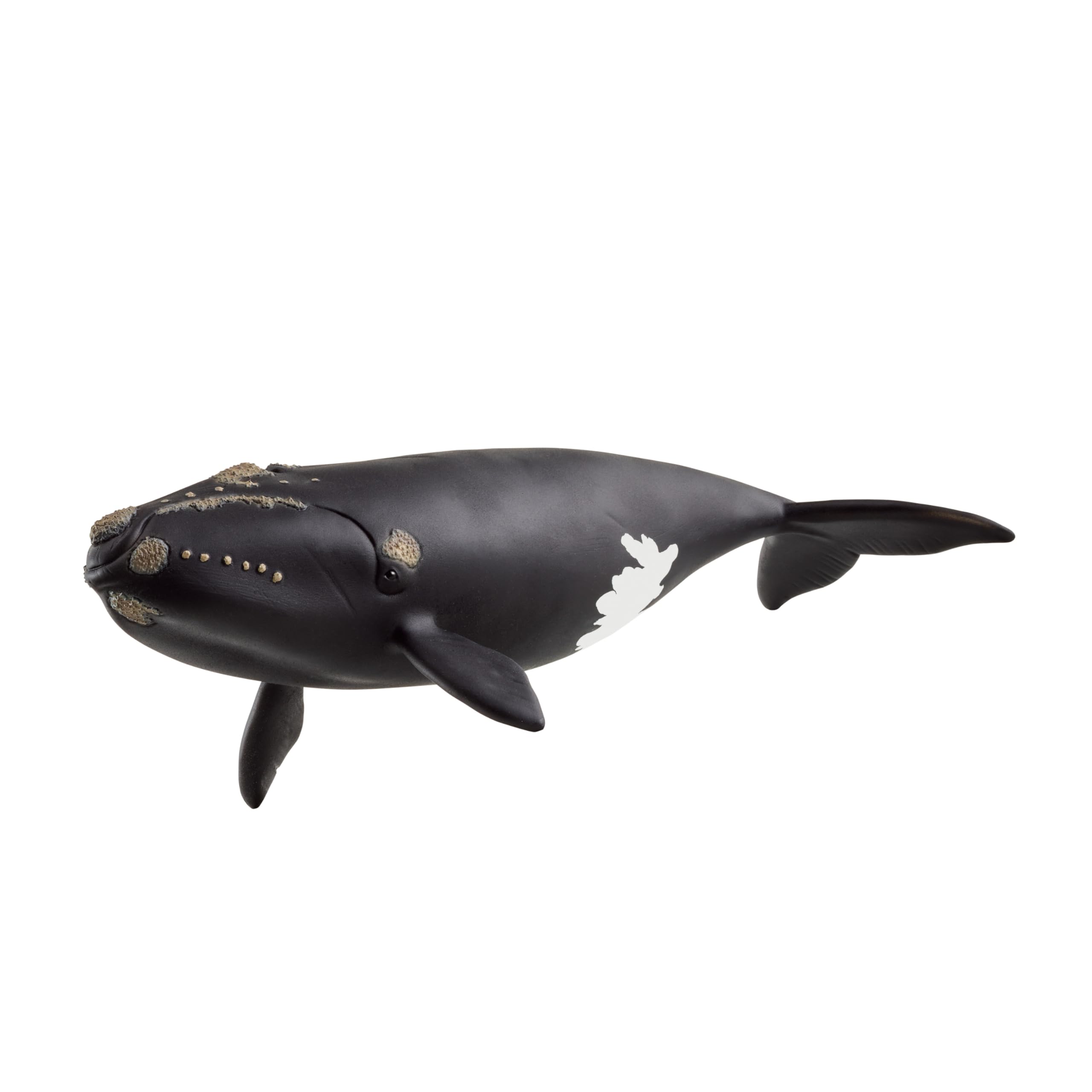 Schleich Wild Life Right Whale Figurine - Realistic 19cm Ocean Animal Toy for Kids