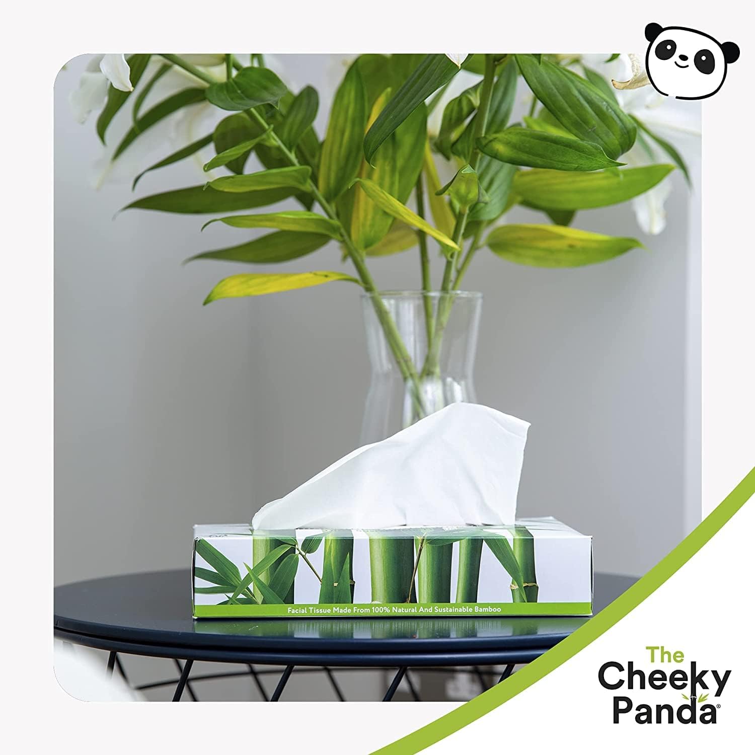 The Cheeky Panda – Bamboo Facial Tissues 3-Ply Flat Box (80 Tissues) Hypoallergenic, Plastic-Free, Eco-Friendly 3