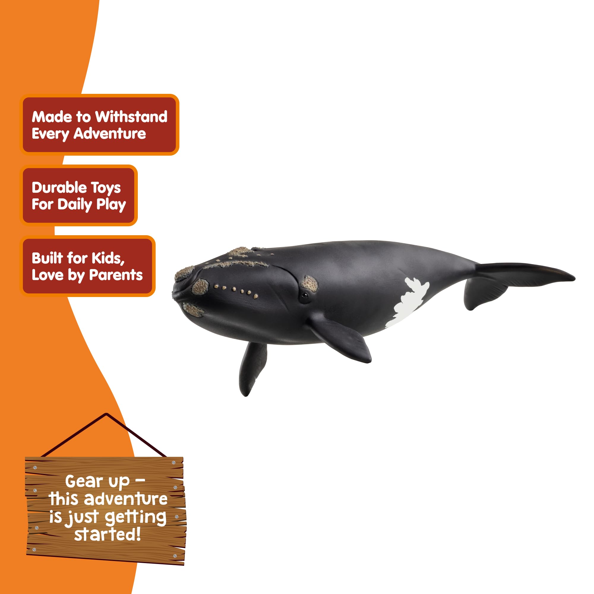 Schleich Wild Life Right Whale Figurine - Realistic 19cm Ocean Animal Toy for Kids 3