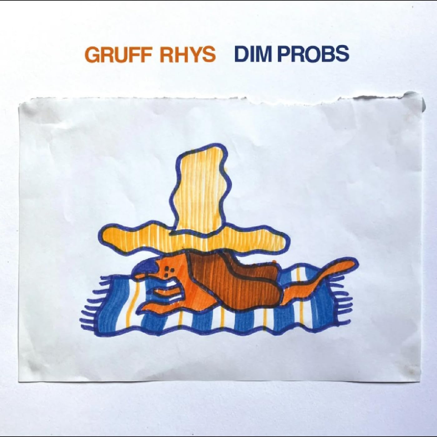 Gruff Rhys - Dim Probs [Audio CD]