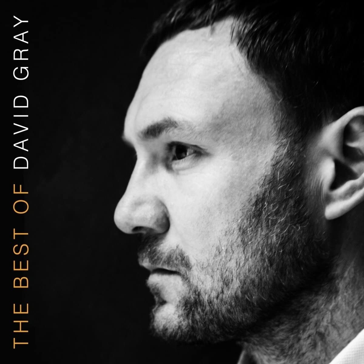 David Gray - The Best Of David Gray [Import 2LP Vinyl] 1