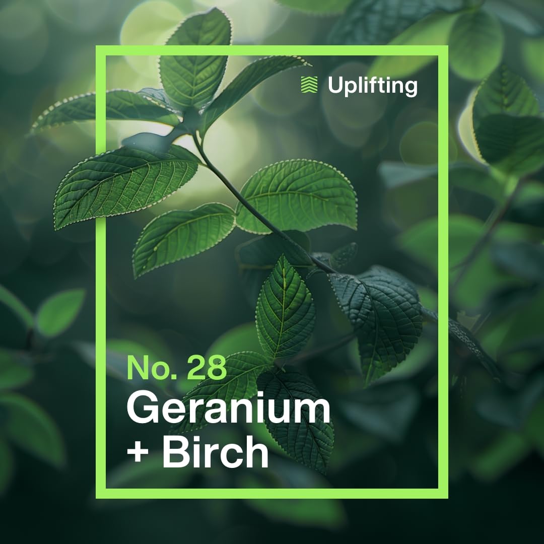 INEOS - Geranium + Birch Non-Bio Laundry Capsules (24 Washes) 6