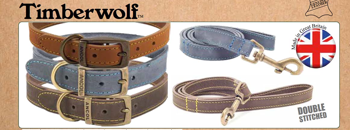 Ancol Timberwolf Leather Dog Collar - Blue | Size 3 (28-36 cm Neck) | 1.6 cm Width 6