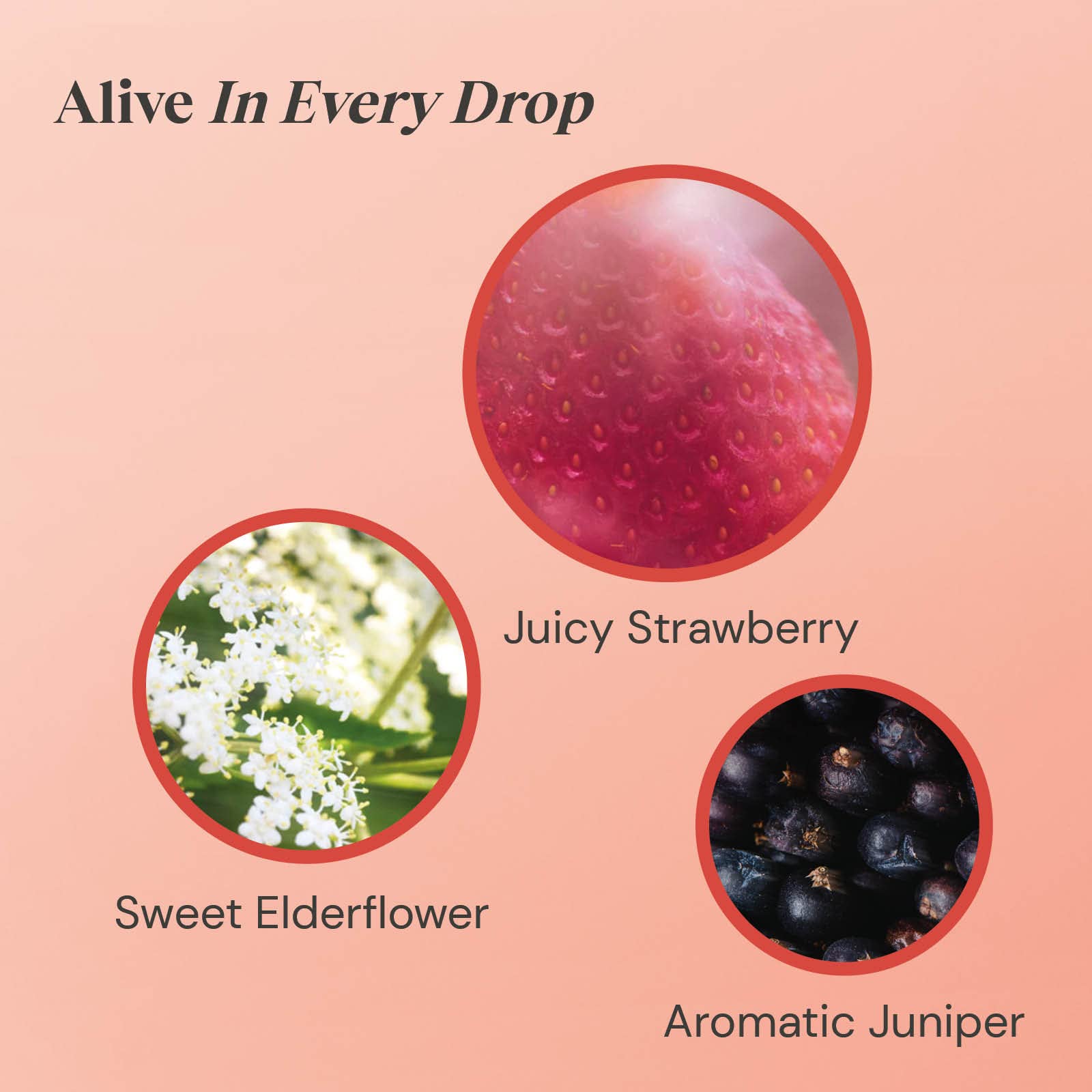 Twinings Strawberry and Elderflower Herbal Tea 20 Bags 3