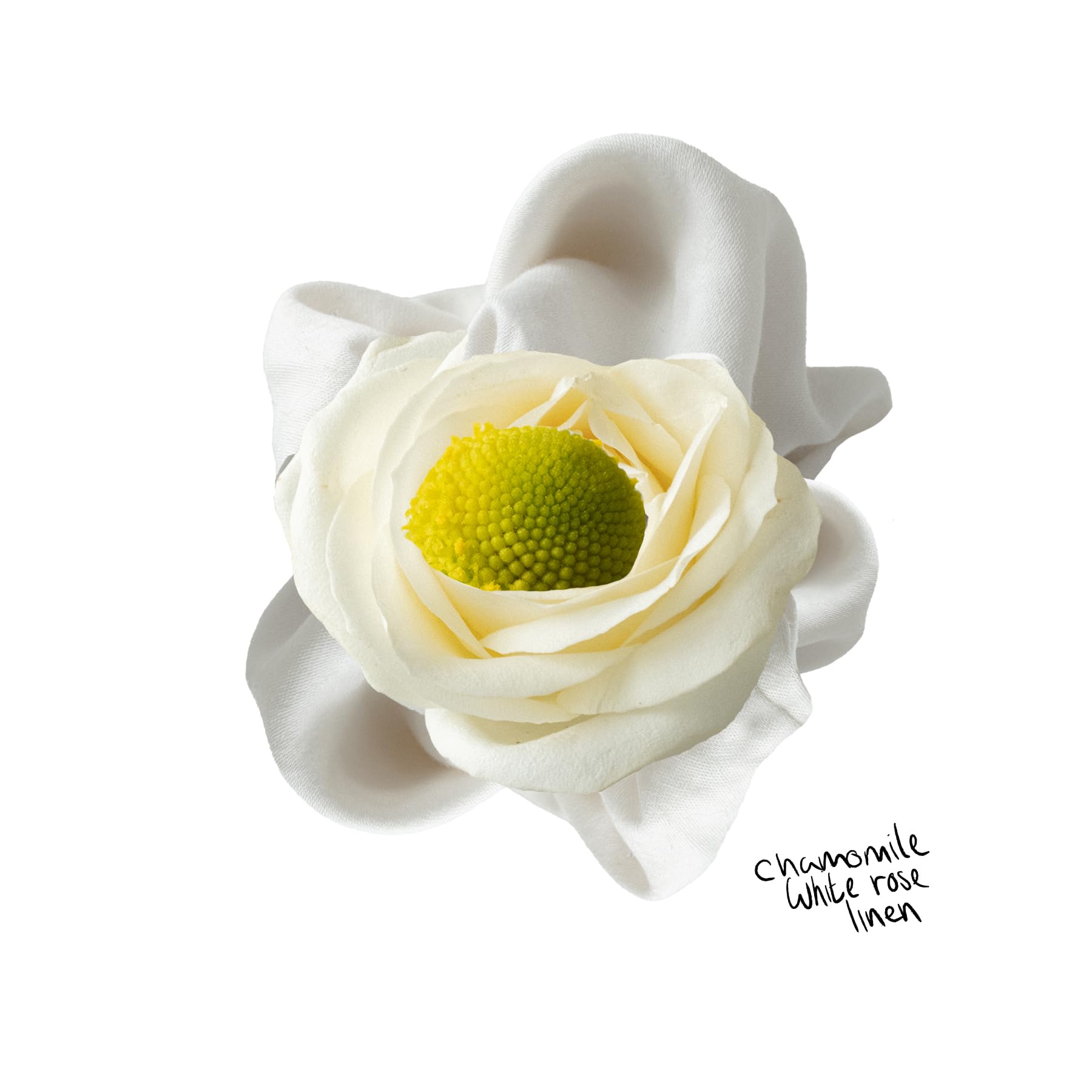 The Lab Co. - Non-Bio Concentrated Laundry Detergent | 1L, 40 Loads 11