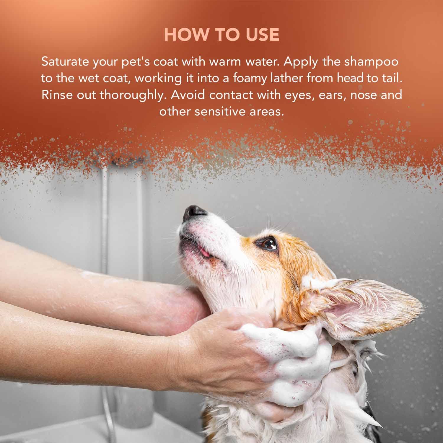 Wahl Dirty Beastie Dog Shampoo - Cleans Thick/Matted Coats | Kiwi Scent | 250ml Ready to Use 5