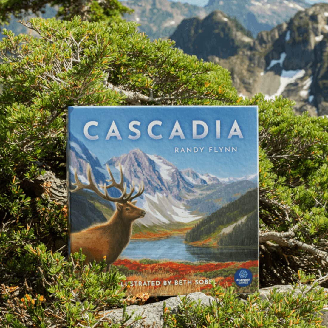 Alderac Entertainment Group Cascadia Board Game (AEG7098) 4