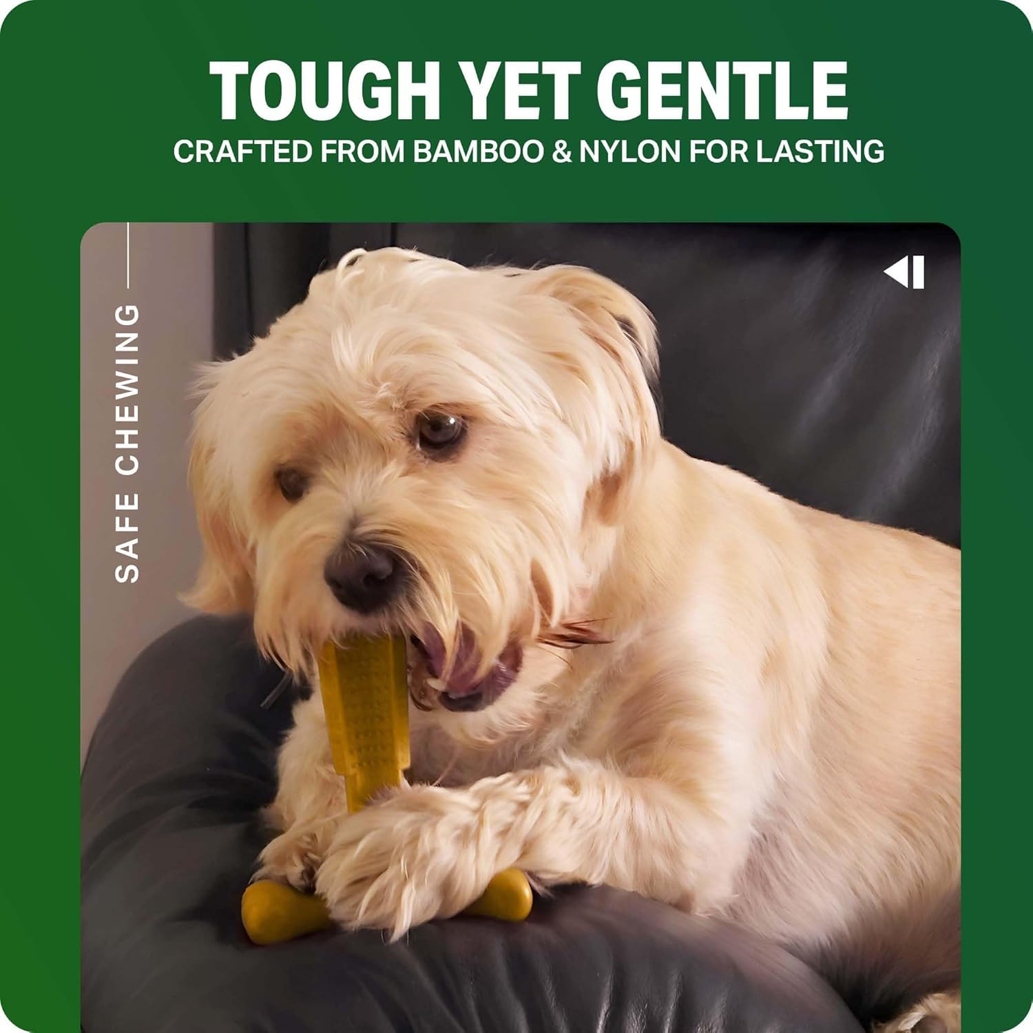 Bamboodles Puppy Dog Chew – Chicken and Blueberry Flavour | Medium T-Bone 5