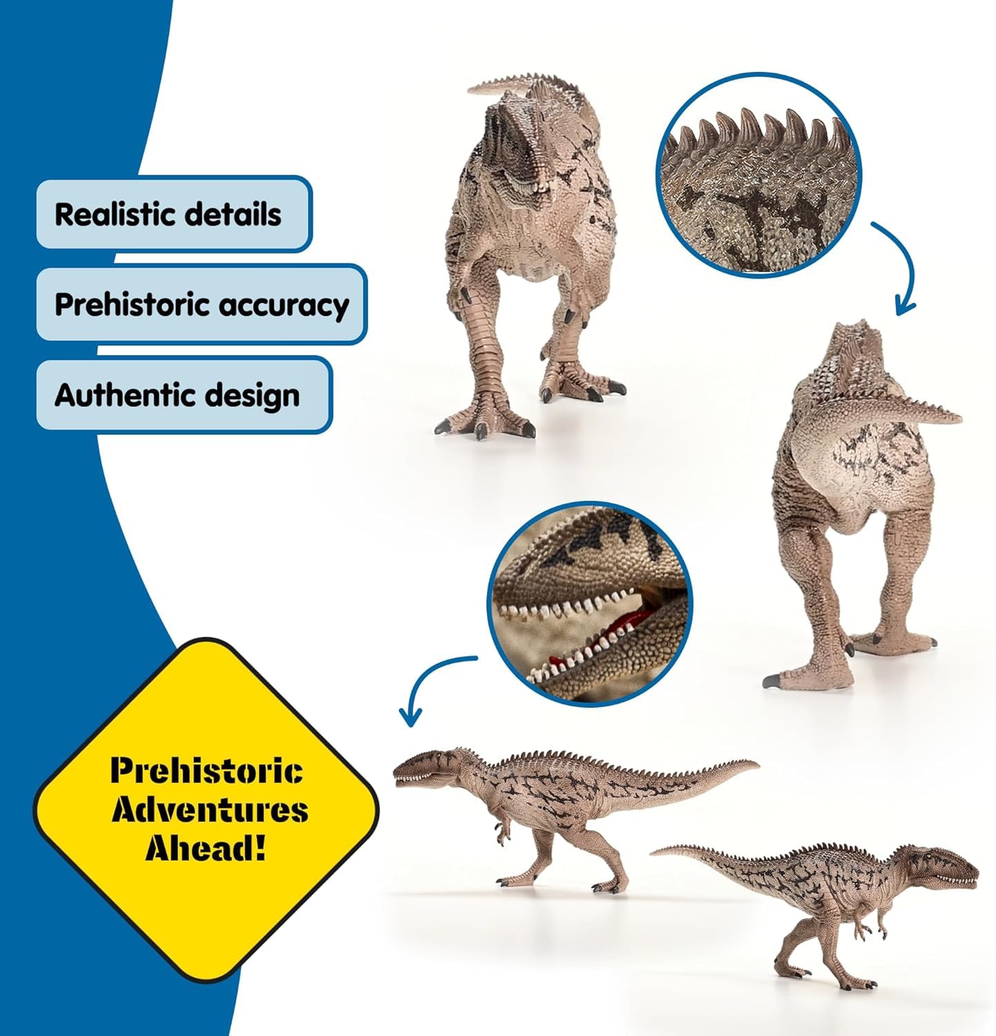 Schleich 15048 Carcharodontosaurus Dinosaur Figurine - Realistic Prehistoric Play Figure for Ages 3+ 9