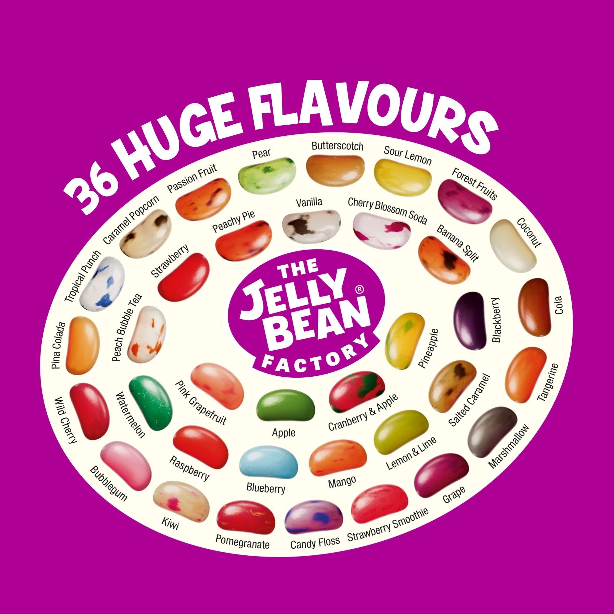 The Jelly Bean Factory 36 Huge Flavours, 700g Jar - Gourmet Jelly Beans Gift 14