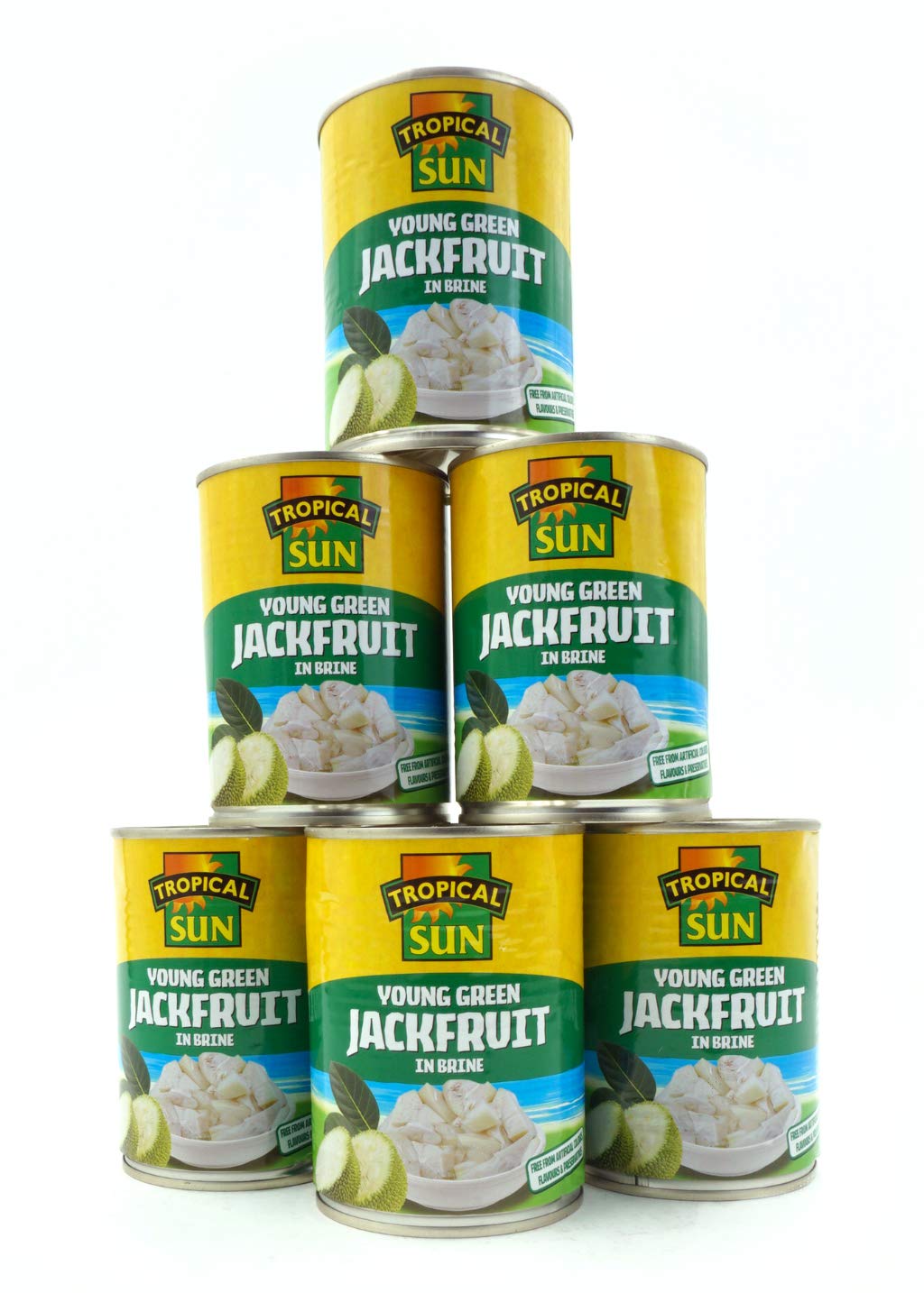 Tropical Sun Young Green Jackfruit In Brine 560 g