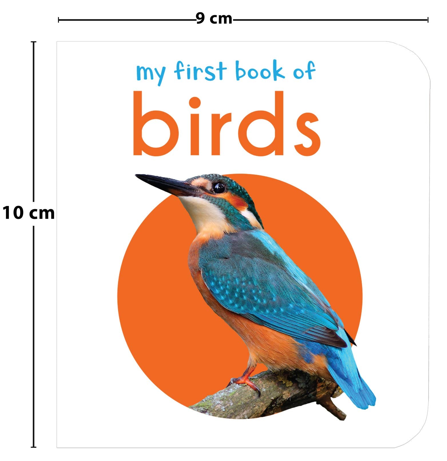 Wonder House My First Book Of Birds - First Board Book for Early Learning | English Language 3