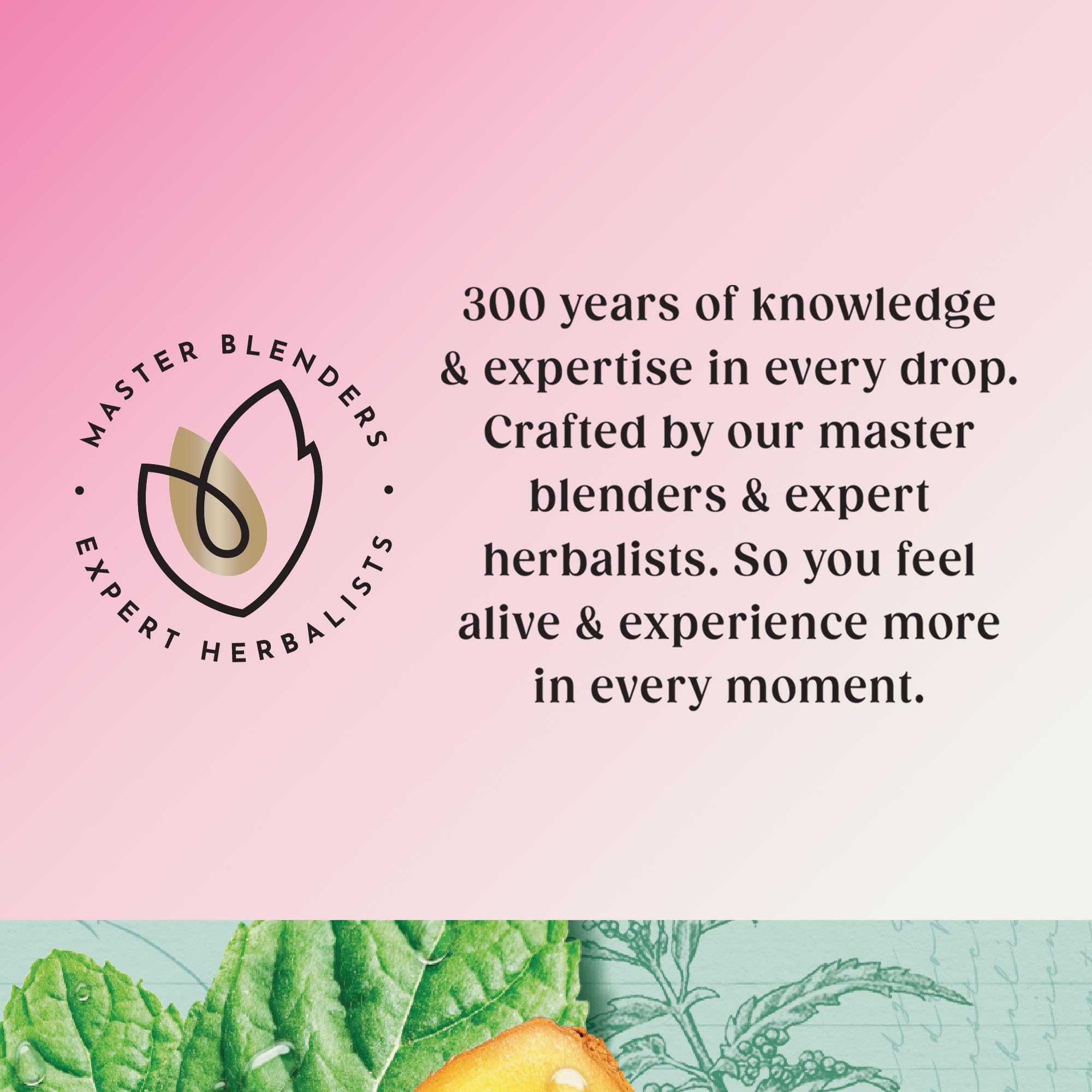 Twinings Superblends Metabolism Tea - Peppermint & Spiced Green Herbal Infusion with Nettle & Zinc, 80 Biodegradable Tea Bags