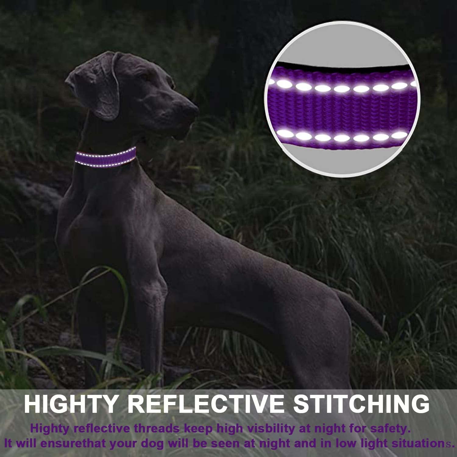 ATETEO Adjustable Dog Collar - Padded Neoprene, Reflective Straps, Quick Release Buckle, Purple, Size M 5