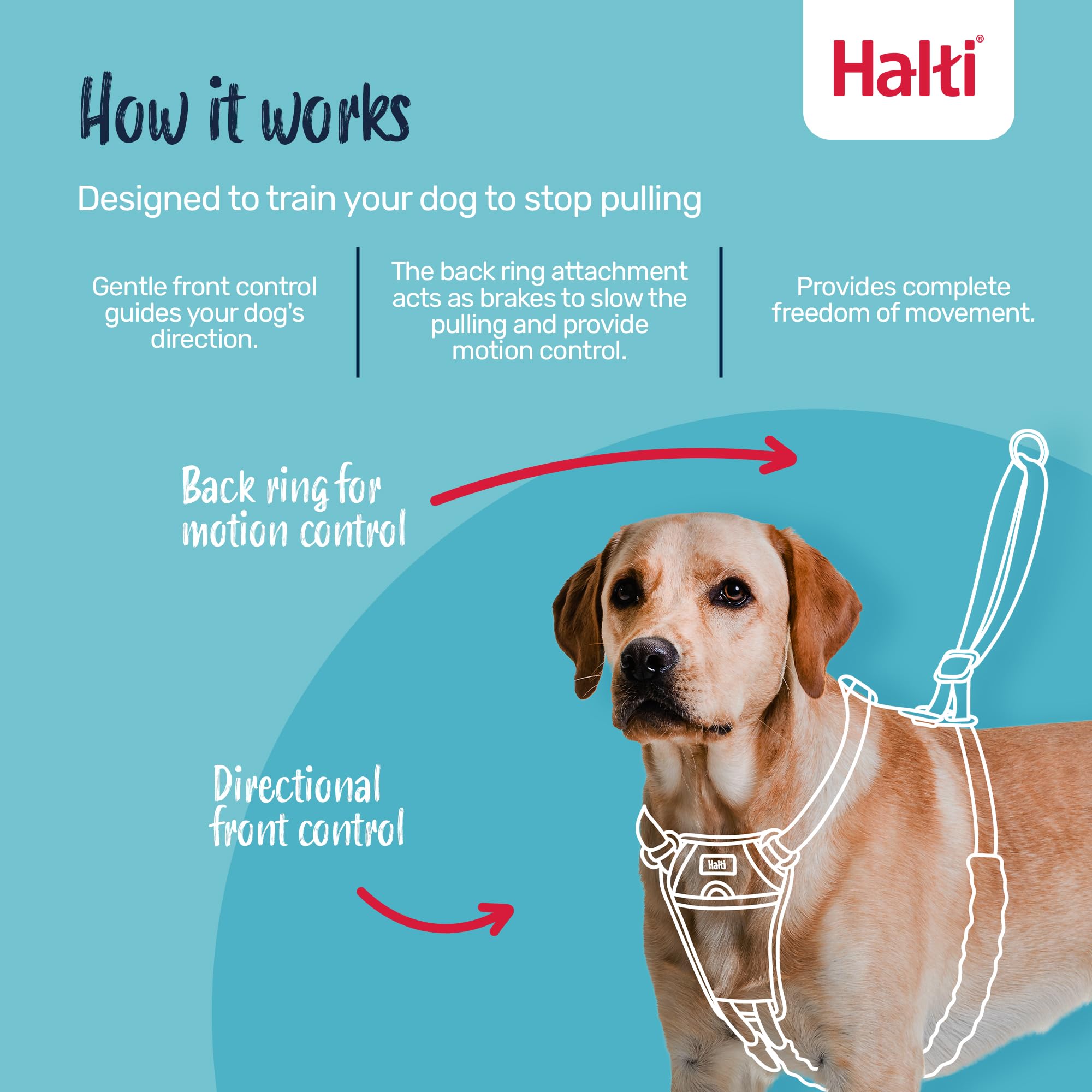 Halti No Pull Harness - Stops Pulling with Front Control Steering | Size S | Forest Green 2