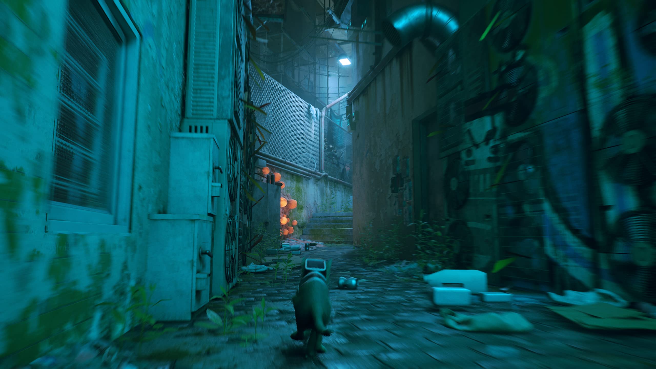 Stray - PlayStation 5 Physical Edition 5