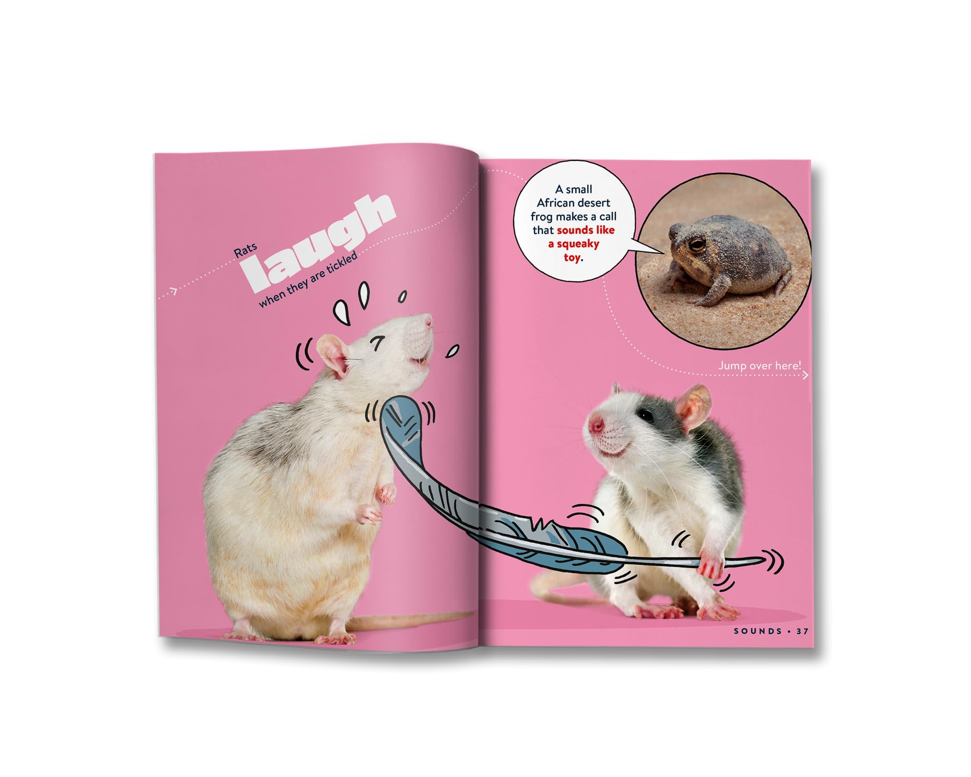 Britannica Books Cute FACTopia!: Follow the Trail of 200 Super-sweet Facts | Hardcover | Ages 8+ 6