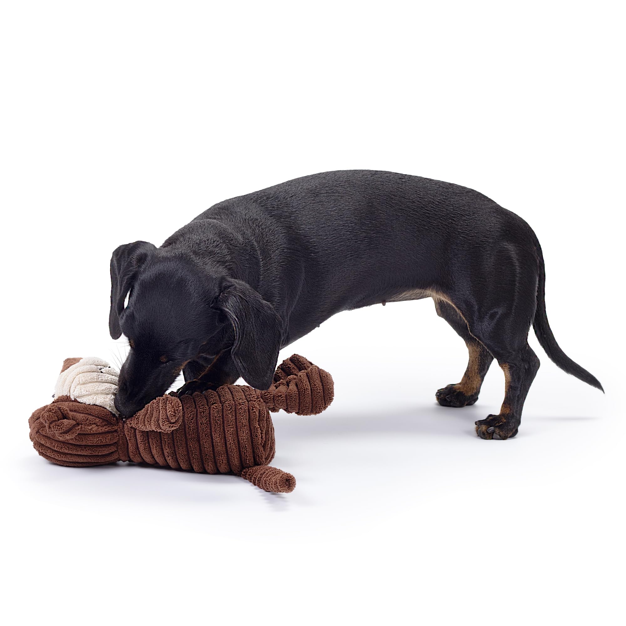 Zappi Co Brown Monkey Plush Dog Toy with Squeaker | Corduroy Texture | Medium Dog Size 4