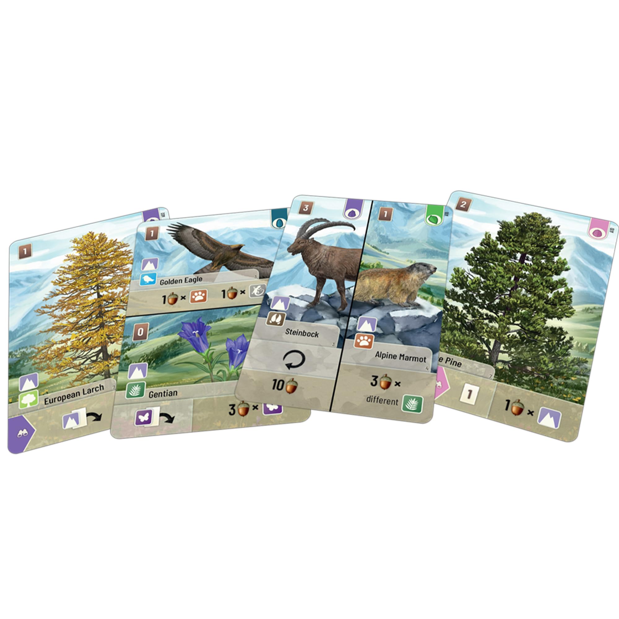 Lookout Forest Shuffle Alpine Expansion Card Game Ages 10+ 4