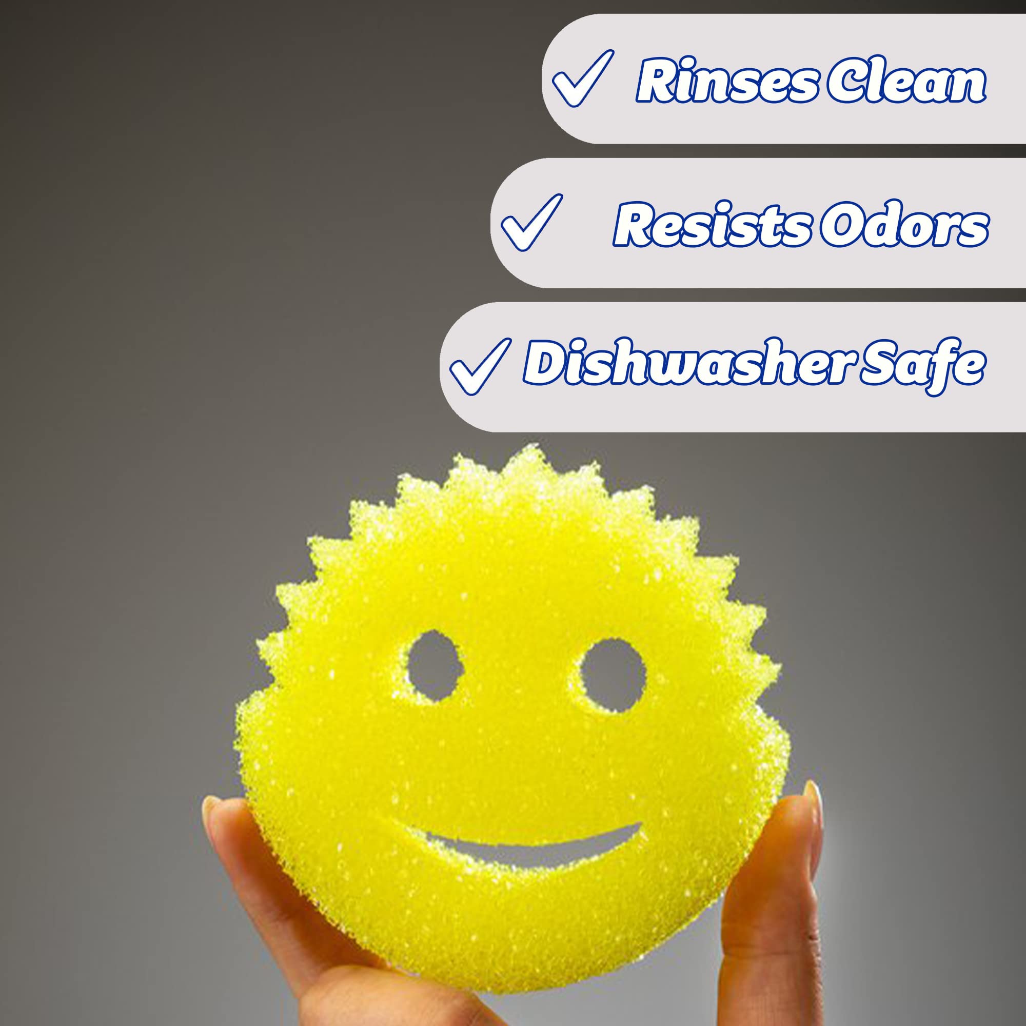 Scrub Daddy Wonder Wash-Up Combo - Dish Sponge Twin Pack with Wonder Wash-Up Liquid